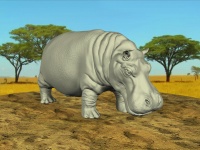 Hippo In 3d