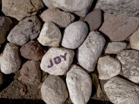 Joy Written On Rock