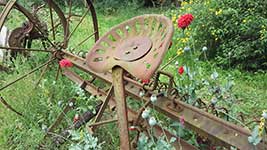 Flowers And Agricultural Machine