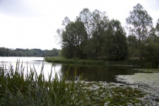 Lake In Norwich England