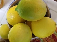 Lemons Viewed From Above