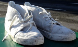 Lost White Shoes