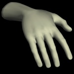 Male Right Hand
