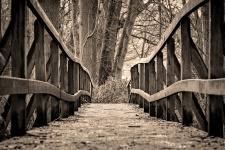 Old Bridge Into Forest