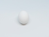 One Egg On White