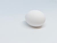 One Egg On White
