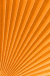 Orange Palm Tree Leaf