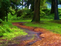 Painted Rural Path