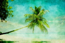 Palm Tree Beach Vintage
