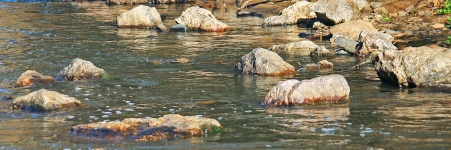 Rocks In A River