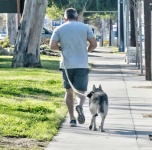 Running With Dog