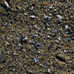 Sand And Shell Texture Background