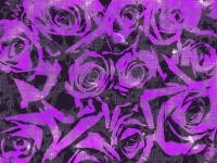 Seamless Rose Background