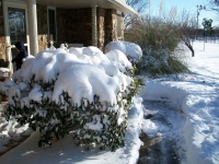 Snow In Oklahoma