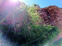 Sunburst In Sedona Canyon