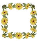 Sunflower Frame Illustration