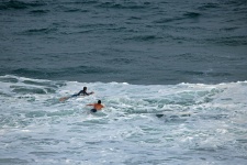 Surfers Paddling Out To A Wave