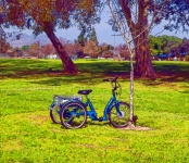 Three-Wheel Bike In The Park