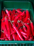 Tray Of Red Chilies