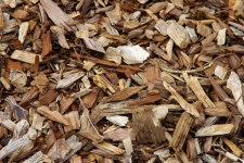 Tree Mulch Texture Background