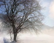 Tree Winter Snow Watercolor