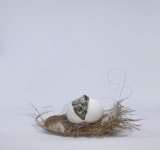 Vertical Nest Egg