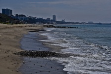 View Of Santa Monica From The Beach