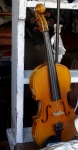 Violin Stringed Instrument