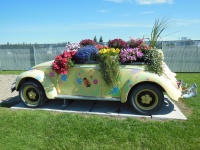 Volkswagen Full Of Flowers