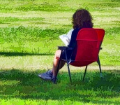Woman Reading Book In The Park