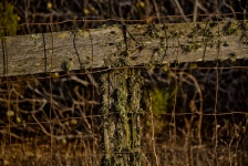 Wood And Wire Fence