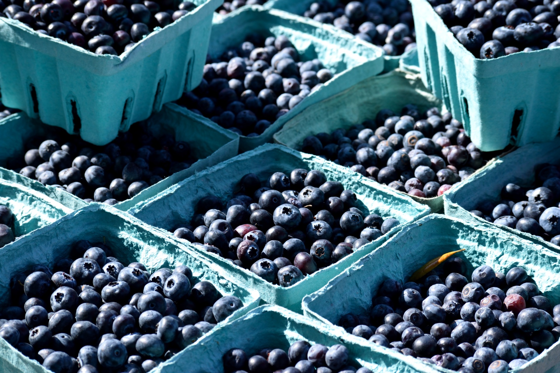 blue berries for sale at market place