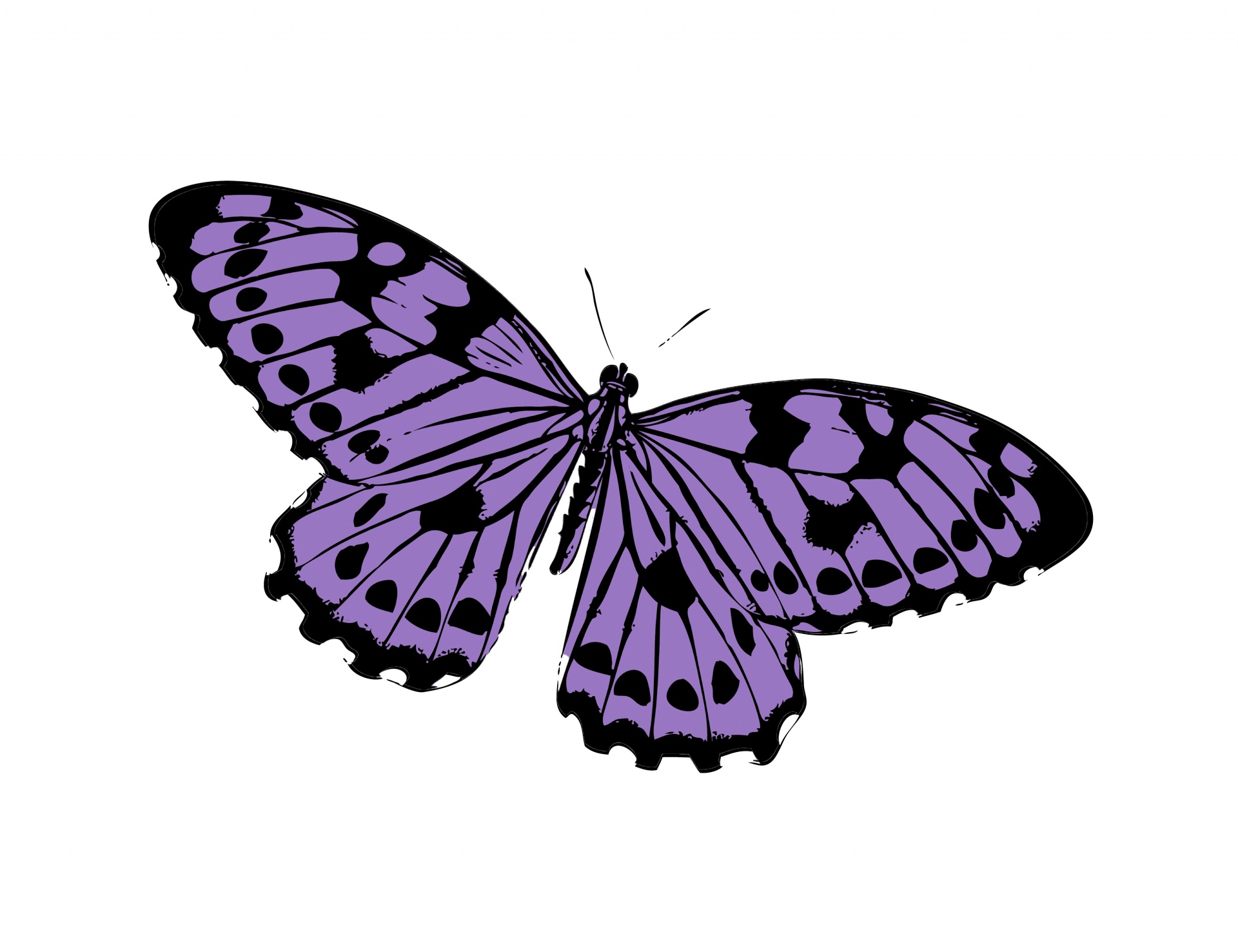 Butterfly Purple Clipart