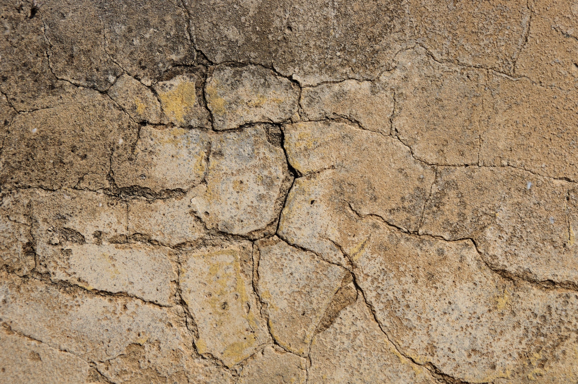 Cracked Concrete Texture Background