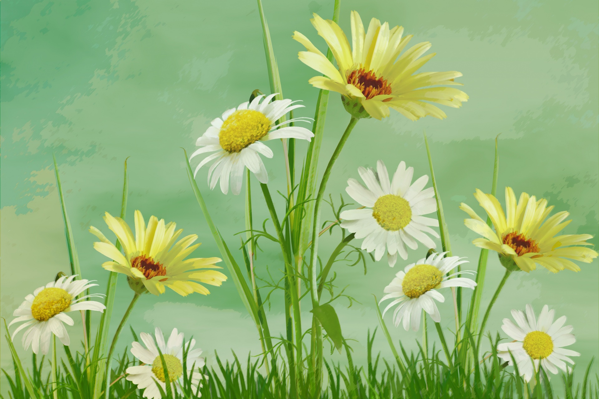 Daisy Flowers Painting