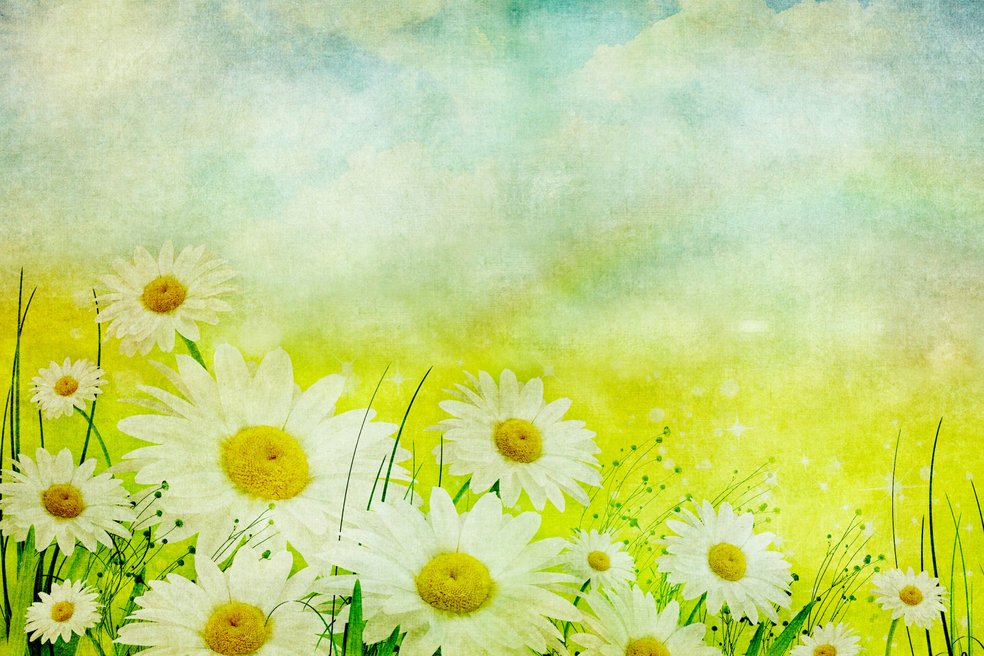 Daisy Flowers Vintage Background