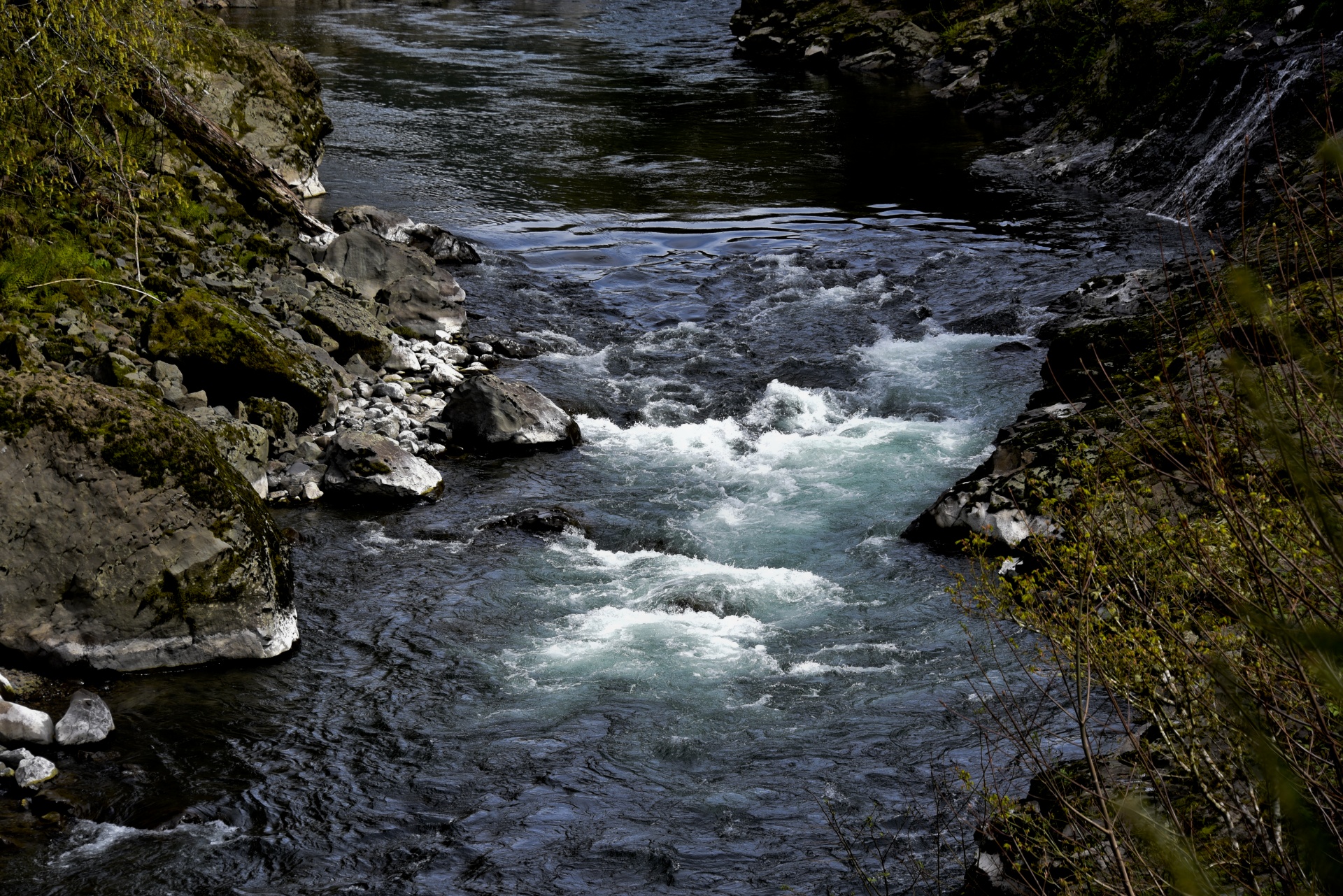River flowing in Oregon showing turquoise rapids