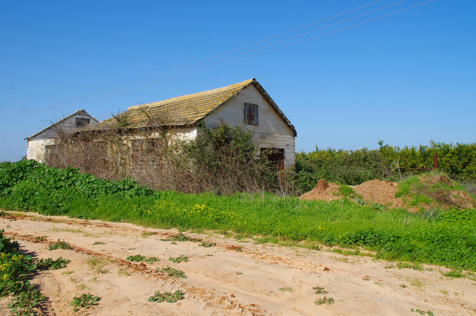 Derelict house in the country