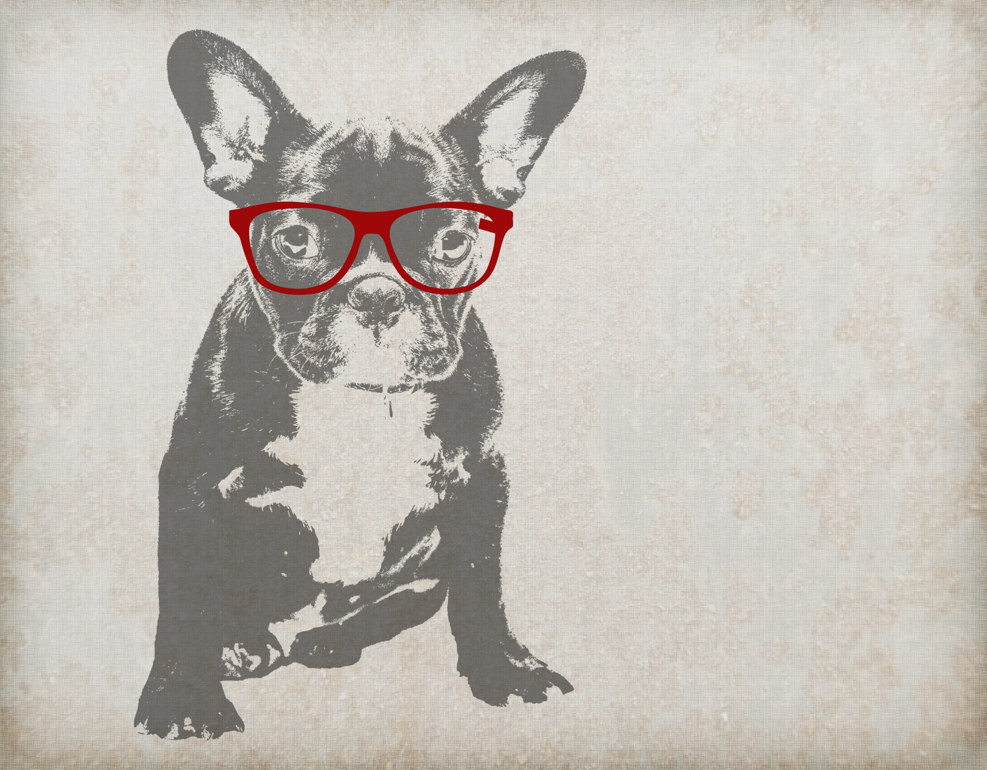 Dog In Glasses Illustration