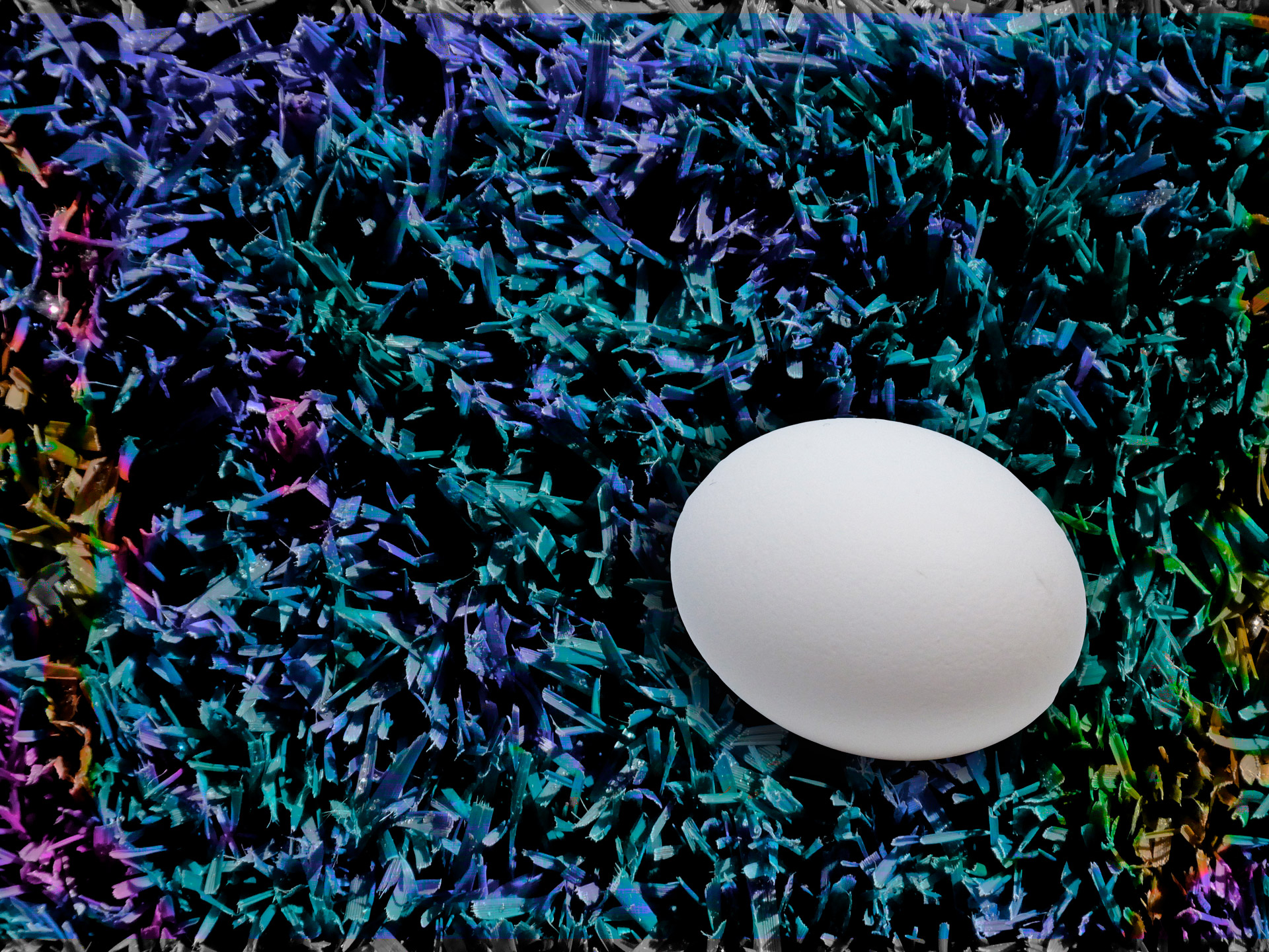 Egg On Fancy Grass Background
