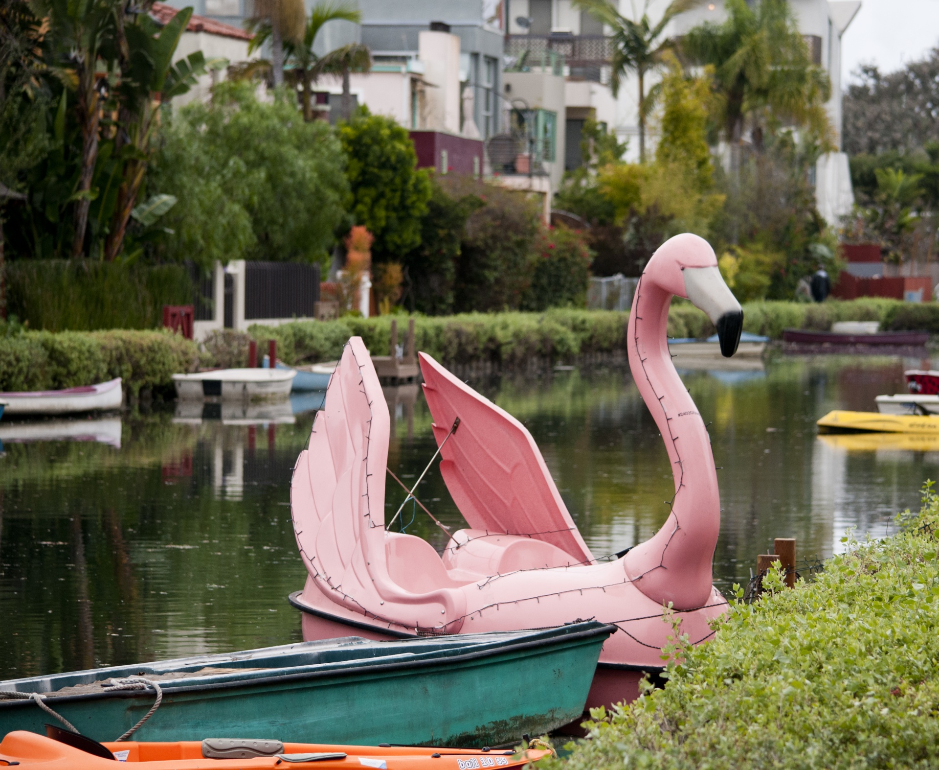 Flamingo Boat