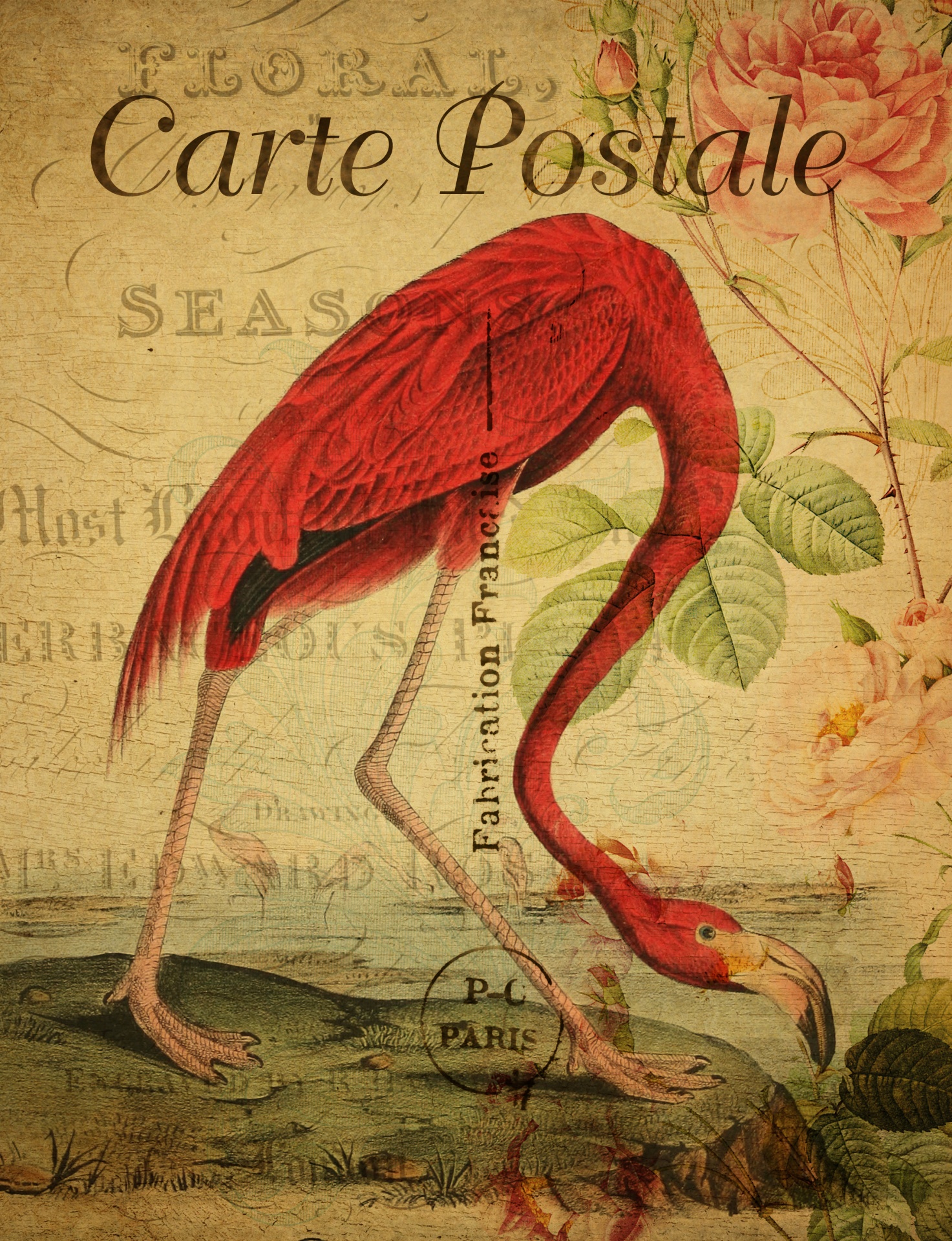 Flamingo Vintage Postcard Painting
