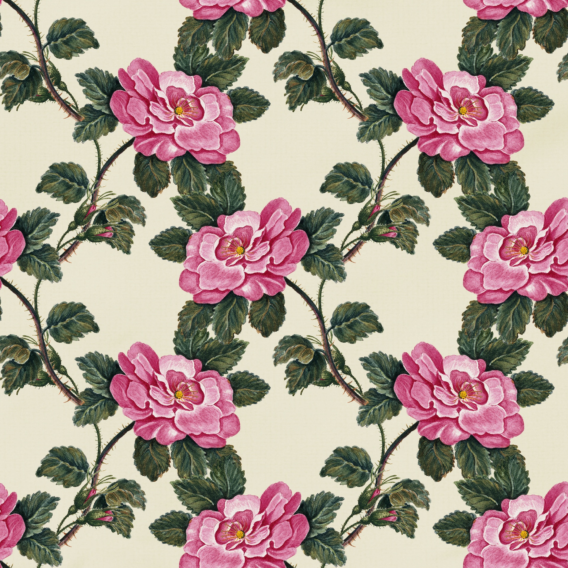 Vintage pink roses seamless wallpaper pattern background