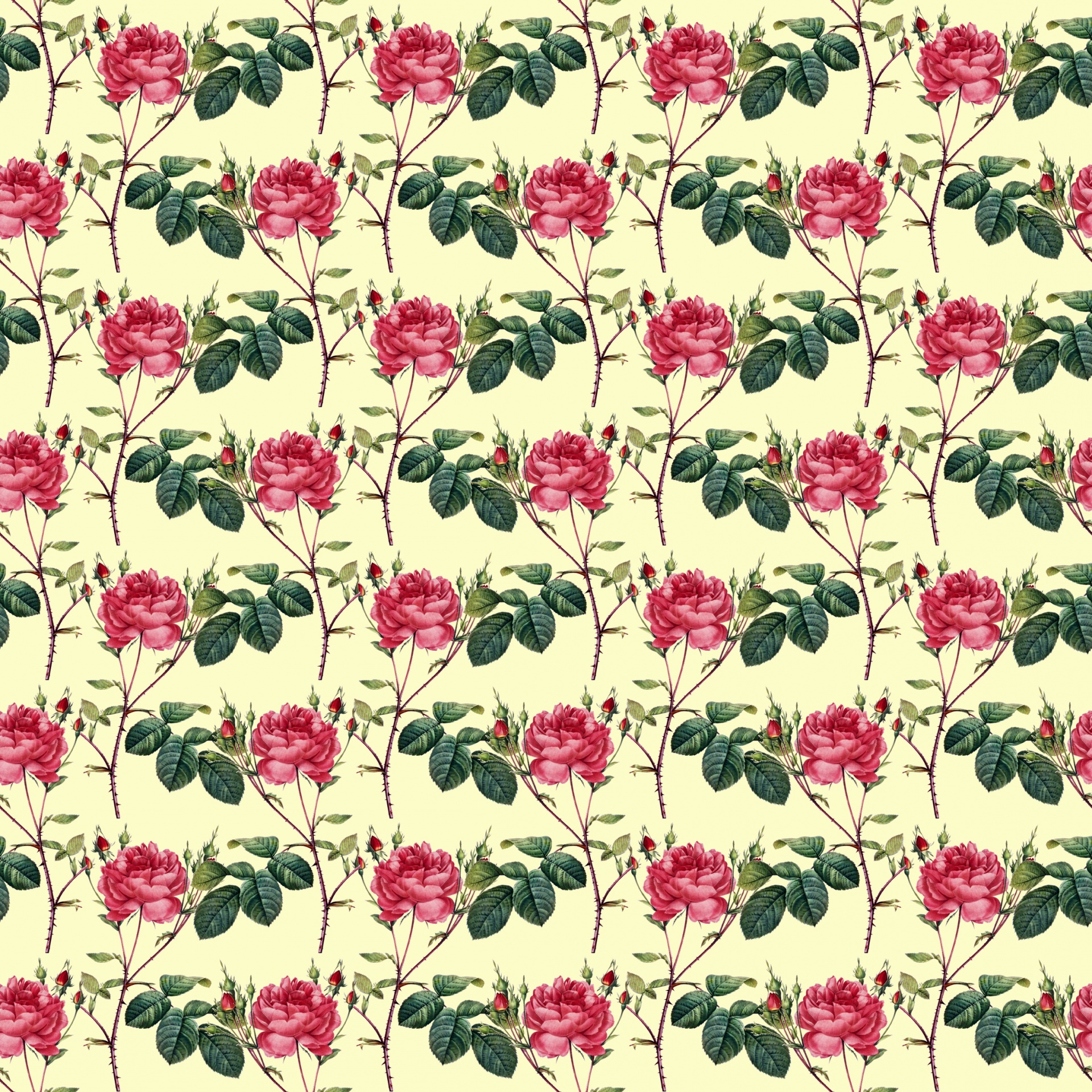 Flowers Wallpaper Vinage Roses
