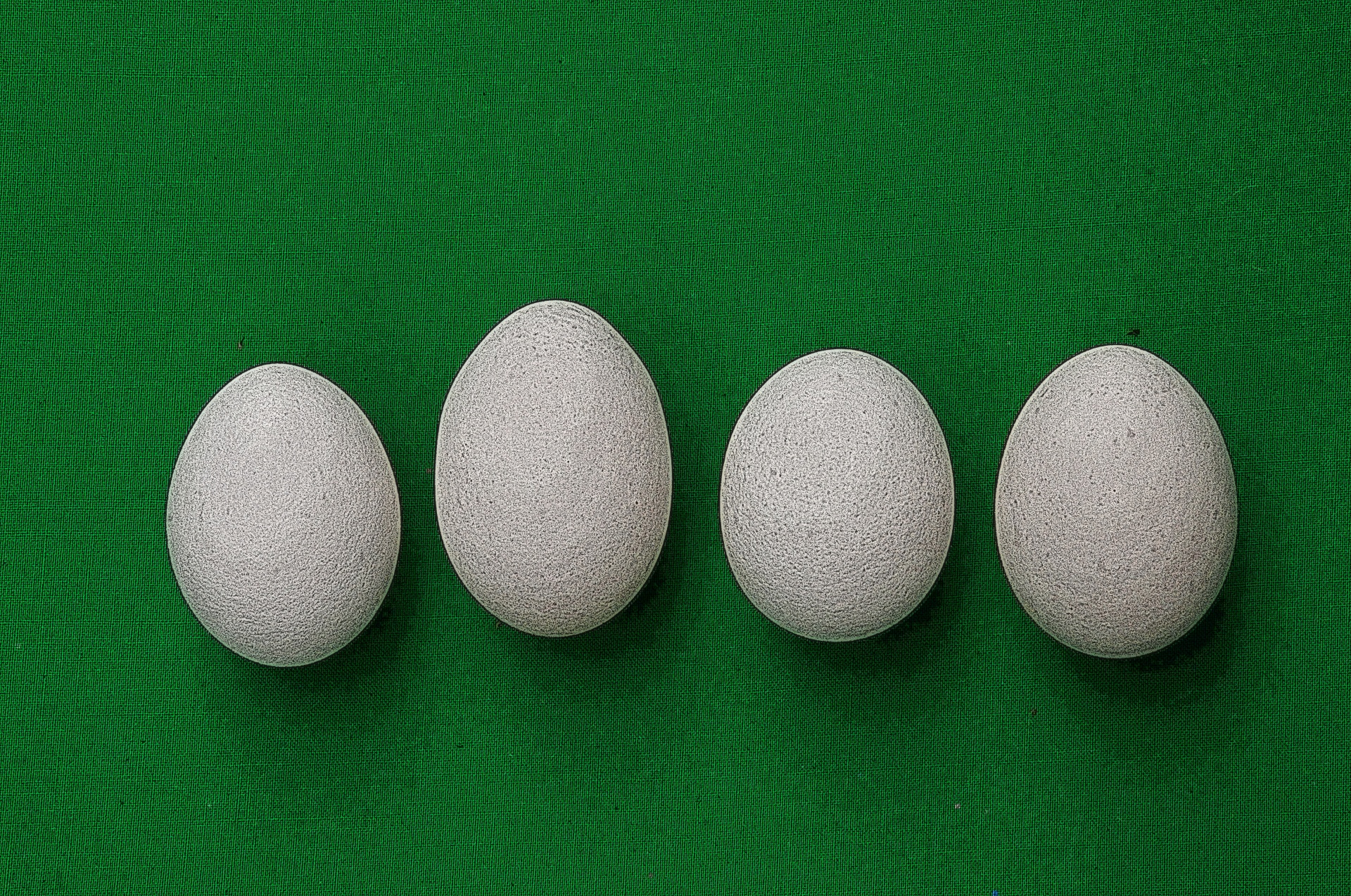 Illustrated Eggs