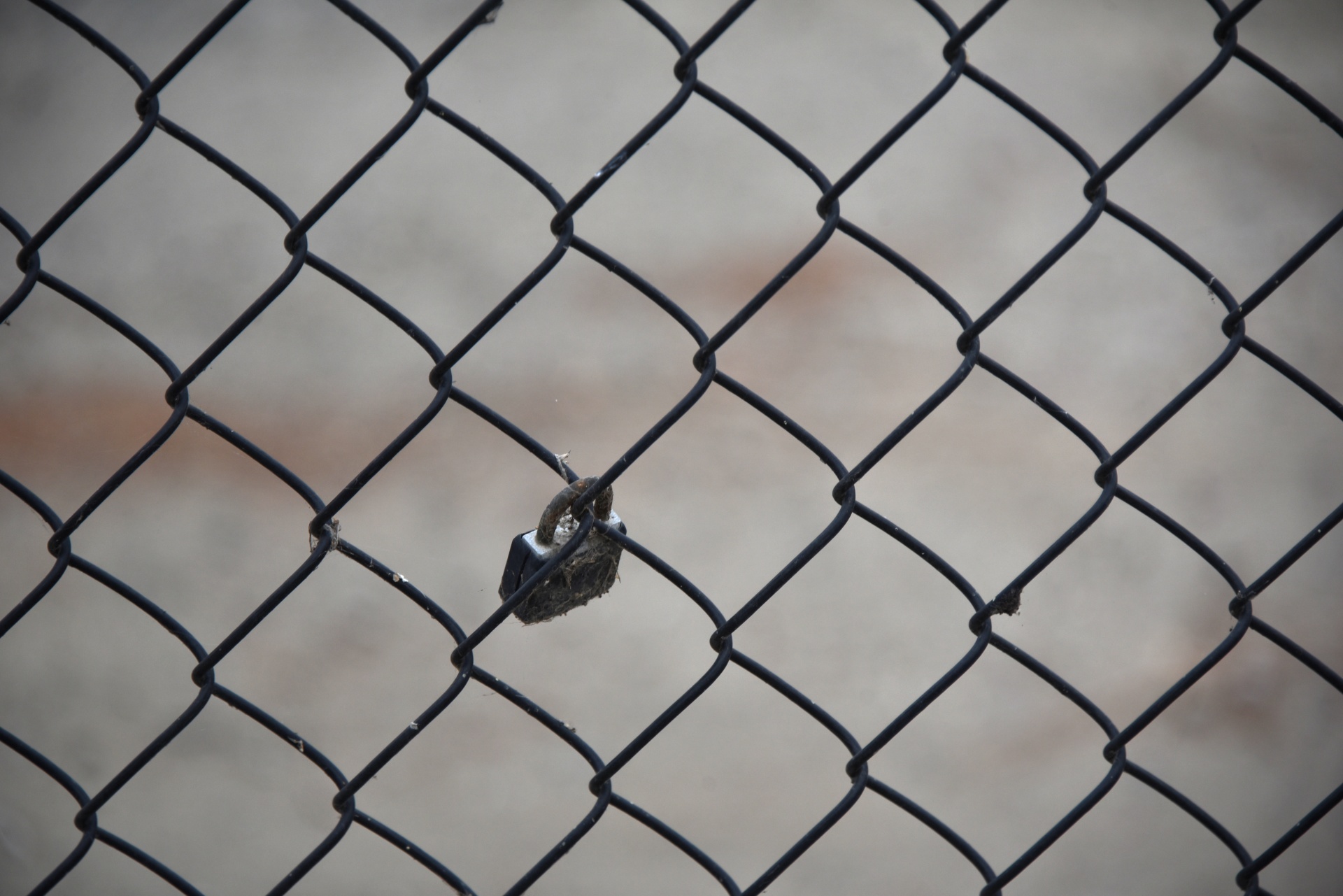 One lock fastened on a chain link fence.