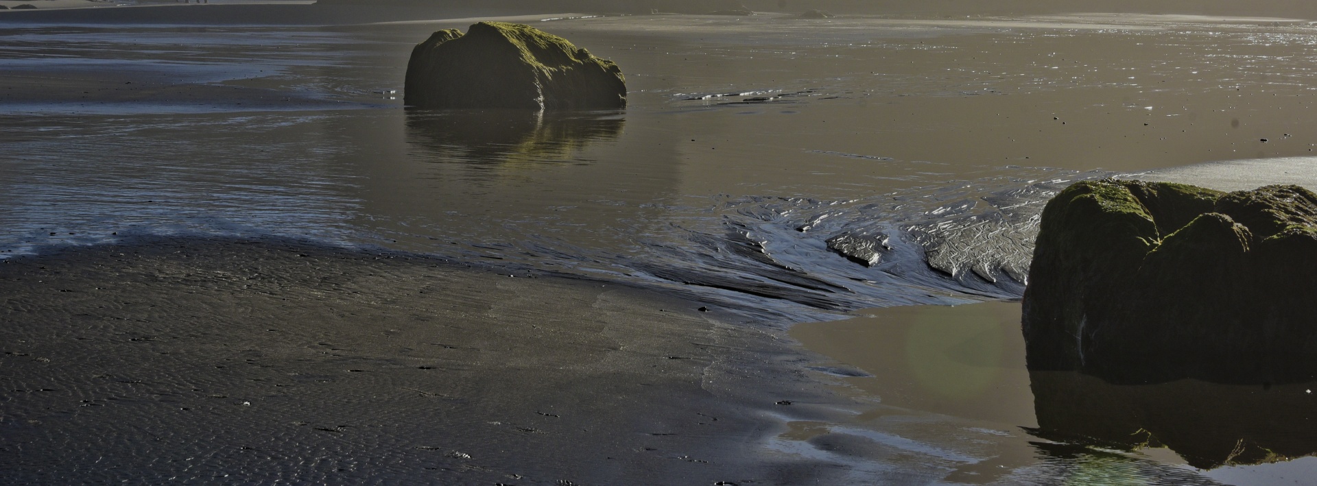 low tide in Oregon