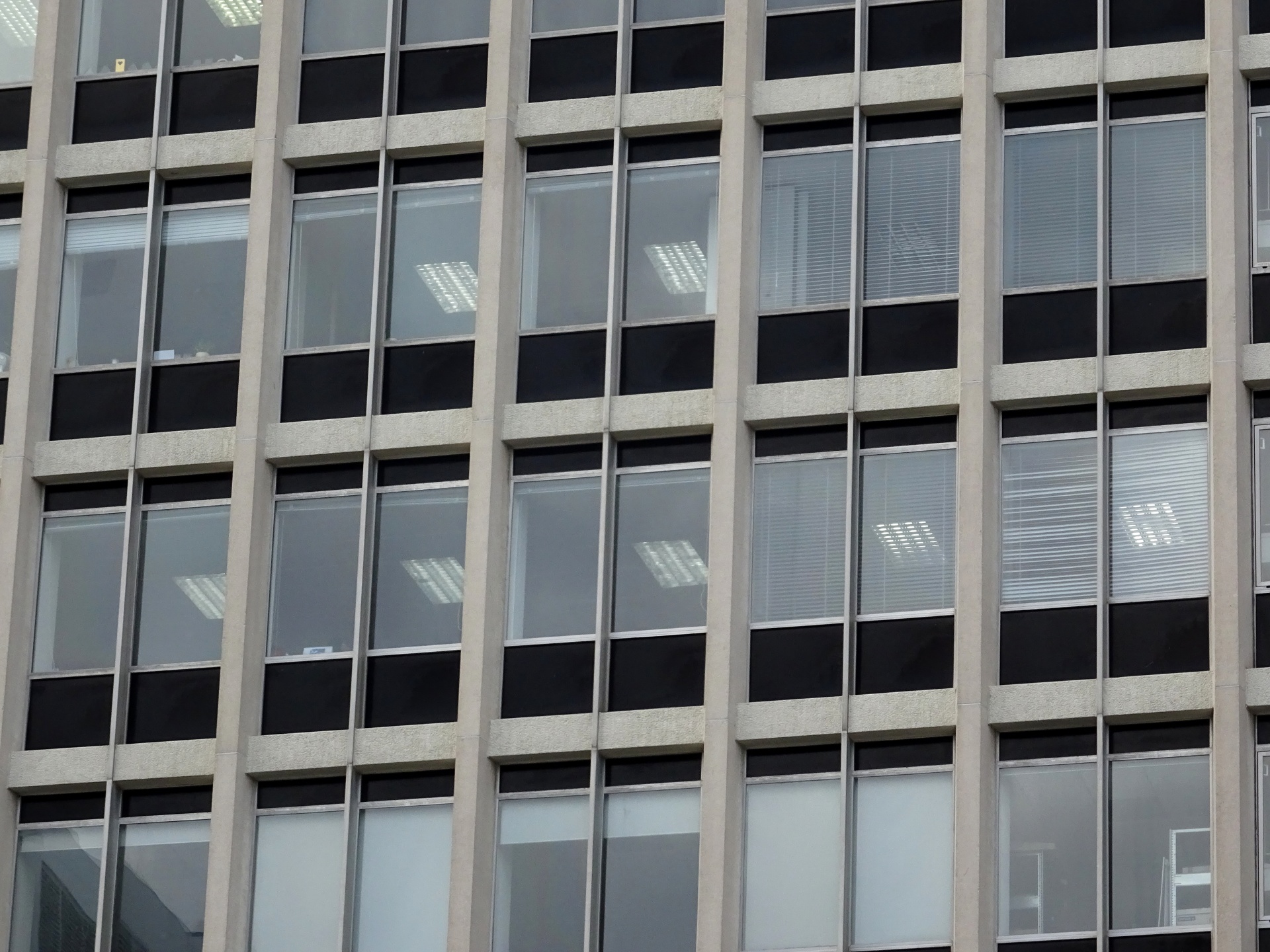Office Building Windows
