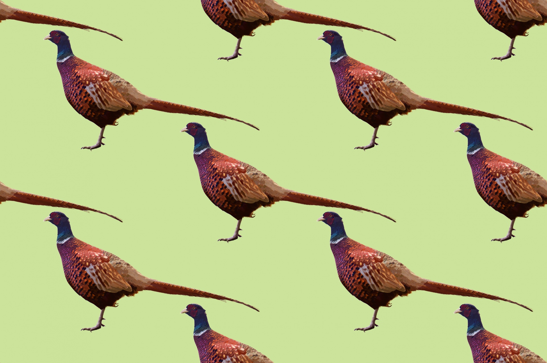 Pheasant Painting Background