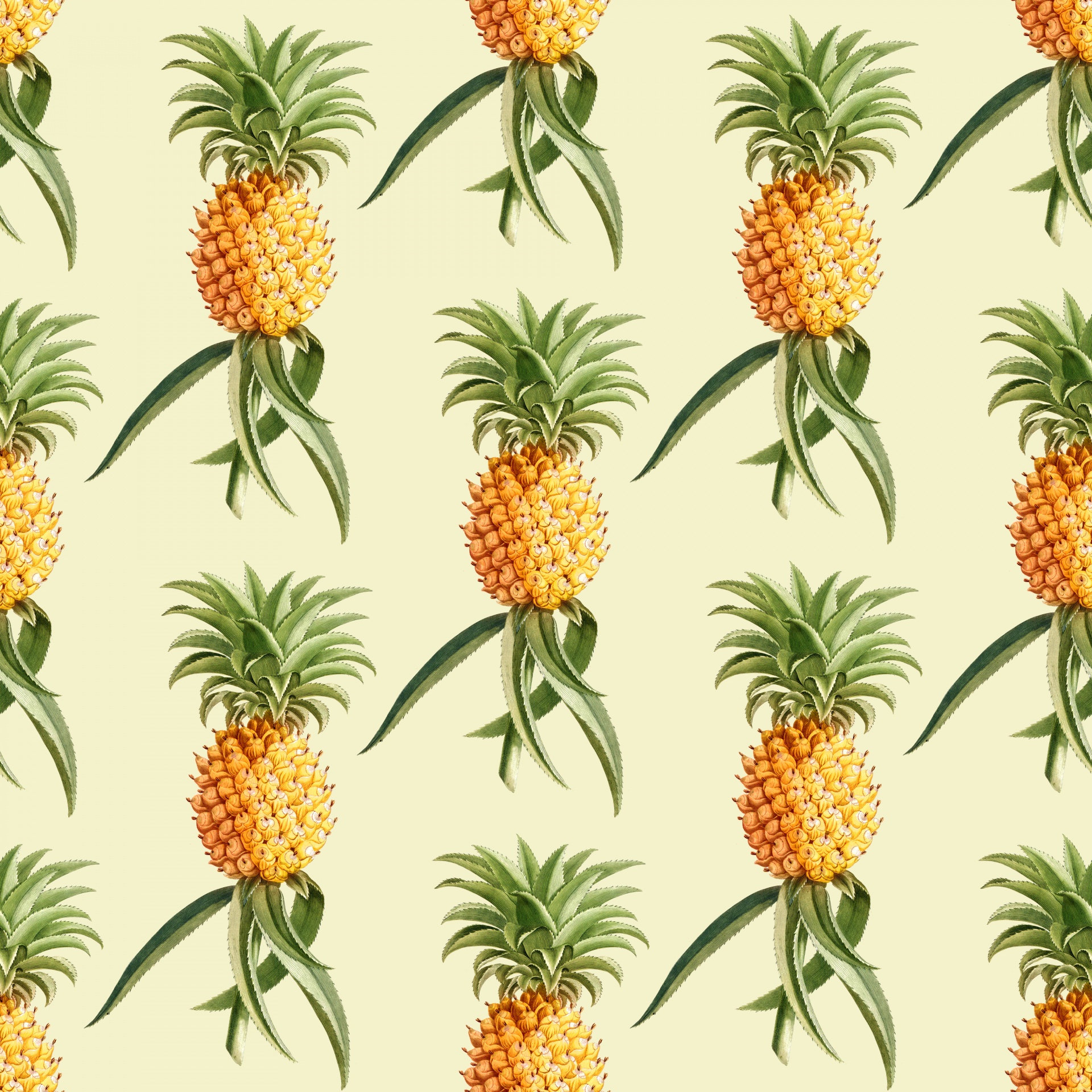 Pineapples Vintage Background